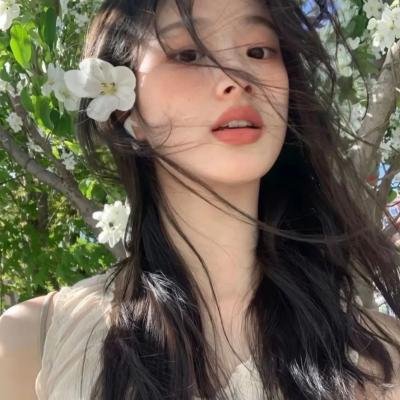 雪国列车(剧版)第一季